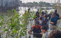 Peduli Abrasi dan Iklim, Rotary Club Semarang Gandeng Komunitas Tanam 1.000 Mangrove