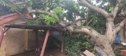 Banjir Situbondo Sisakan Luka, Sekolah Ini Rusak Parah, Nasib 345 Siswa Jadi Sorotan