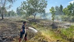 Tim Dalkarhutla Dishut Kalteng Kembali Padamkan Kebakaran Lahan Seluas 1,55 Hektare Saat Cuaca Panas
