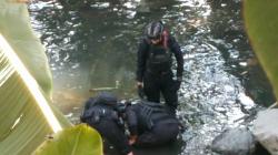 Heboh Penemuan Bom Pesawat Bersirip Empat di Sungai Lahar Blitar, Evakuasi Libatkan Brimob