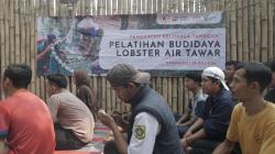 Tingkatkan Daya Saing, LPM Dompet Dhuafa Beri Pelatihan Budidaya Lobster