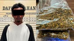 Satresnarkoba Polresta Jayapura Kota Sita 82,52 Gram Ganja di Pelabuhan Jayapura