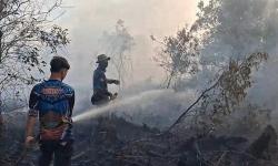 Karhutla Tumbang Nusa Meluas, Dua Helikopter Water Bombing Dikerahkan BNPB