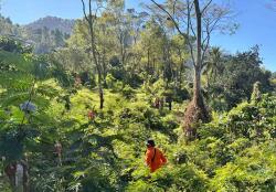 Hilang Dua Hari di Hutan Cipendok, Tim SAR Temukan Lansia dalam Keadaan Selamat