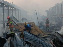 Kebakaran Kandang Ayam di Bojonegoro, 28 Ribu Ekor Ayam Mati terpanggang