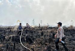 Personel Ditsamapta Polda Kalteng Lakukan Pemadaman Karhutla di Tumbang Nusa, Pulang Pisau