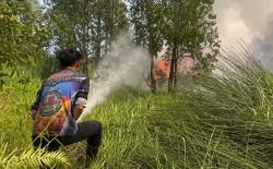 Diperkirakan 11 Hektare Lahan Terbakar, Tim Dalkarhutla dishut kalteng Berjibaku Padamkan Api