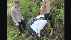 Hilang saat Cari Bibit Sawit, Lansia di Berau Ditemukan Meninggal di Area Perkebunan