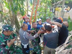 Buruh Tani di Bantul Tewas Diduga Tersengat Listrik Tegangan Tinggi Saat Cari Pakan Ternak