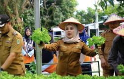 Panen Hidroponik dan Bioflok di Karawang, Warga Didorong Perkuat Ketahanan Pangan