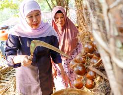 Saat Khofifah Jatuh Hati pada Renyahnya Salak Madu Hasil Budidaya Sembilan Tahun