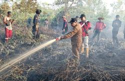 Dishut Kalteng Tambah Personel Dalkarhutla Percepat Pemadaman karhutla di Tumbang Nusa
