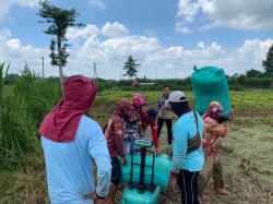 Bulog Kediri Amankan Stok Pangan, Serapan Beras Petani Tembus 100 Persen Lebih Cepat dari Target
