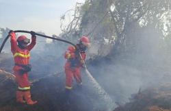 7 Hektare Lahan di Kubu Hangus, Heli Bom Air Turun Tangan Gempur Api