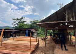 Polda Riau Gerebek  Kilang Kayu  Ilegal di Kampar, Sita Ratusan Batang