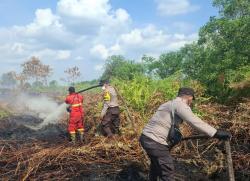 TNI Polri Padamkan Karhutla di Bengkalis, Luas Lahan yang Terbakar Capai 80 Hektare