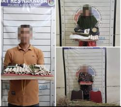 Polisi Aceh Selatan Bongkar Jaringan Ganja, 3 Tersangka Ditangkap dan 110 Batang Disita