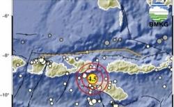 Gempa Magnitudo 4,5 Guncang Barat Laut Tambolaka, Tidak Berpotensi Tsunami