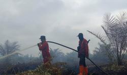 Kebakaran Lahan di Mandau Bengkalis Tembus 81 Hektare, Tim Gabungan  Berjibaku Padamkan Api