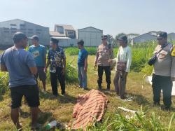 Lagi, Warga Kudus Ditemukan Meninggal Mendadak di Area Persawahan, Kali Ini di Mejobo