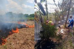 Diduga Akibat Pembakaran Sampah, Lahan Tebu di Tambakrejo Bojonegoro Terbakar