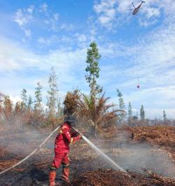 Libatkan Helikopter, Pemadaman Karhutla di Pematang Pudu Terus Digencarkan