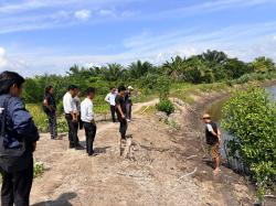 Petani Sawit di Mamuju Tengah Terjatuh ke Parit, Ditemukan Warga Masih Bernapas