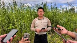 Polisi Buru Pelaku Penganiayaan yang Tewaskan Brigpol Fredi di Yahukimo