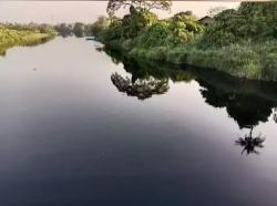 Tiga Perusahaan Disegel DLHK Banten, Buntut Sungai Cisadane Menghitam di Teluknaga