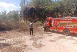Gegara Puntung Rokok, Lahan 2.000 Meter di Bantul Dilalap Si Jago Merah