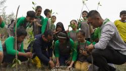 Reklamasi Lahan Bekas Tambang di Babel Capai 78,21 Hektare, Tanaman Produktif Jadi Andalan