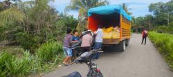 Kecelakaan Maut Hendak Berangkat Sekolah, Pelajar di Pasangkayu Tewas Usai Motornya Hantam Truk