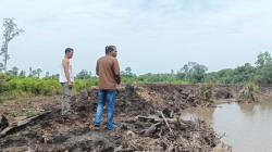 Pembukaan Lahan Perkebunan Sawit di Bangka Barat Dikeluhkan Warga
