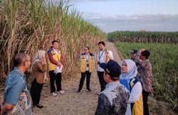 Kementerian PU Survei Lokasi Sekolah Rakyat Tulungagung, Pembangunan Dimulai Oktober 2026