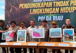 Balai Konservasi Dukung Polda Riau Usut Kasus Perusakan 118 Hektare Mangrove di Rohil