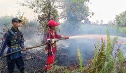 Karhutla Tumbang Nusa Kembali Muncul, Tim Dalkarhutla Siapkan Alat Berat untuk Pemadaman Lanjutan