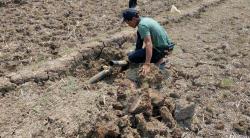 Kemarau Mengancam, Petani Cianjur Desak JIAT Segera Difungsikan agar Lahan Tak Berujung Gagal Tanam