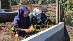 Pelatihan Cultivator dan Penanaman Padi Sistem Mina Padi  untuk Tingkatkan Kapasitas Petani
