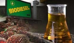 Kerap Dianggap Limbah, 90 Ton Minyak Jelantah Dapur Diubah Jadi Biofuel