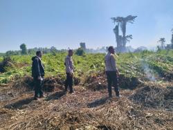 Kebakaran Lahan di Mamuju Tengah Masuki Hari Kedua, Api Sulit Padam akibat Parit Mengering