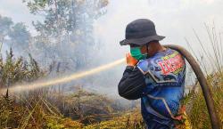 Tim Dalkarhutla Dishut Kalteng Padamkan 100 Hektare Karhutla, Tambah Personel Hadapi Musim Kemarau