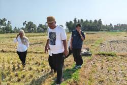 Puluhan Tahun Tak Teraliri Irigasi, 30 Hektare Lahan di Kulonprogo krisis Air