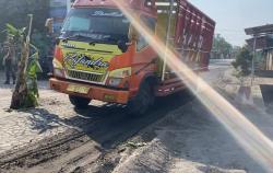 Kesal Tak Kunjung Diperbaiki, Warga Tanami Jalan Rusak dengan Pohon Pisang