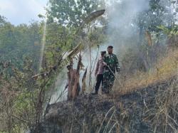 Sinergi Cepat TNI-Polri dan Warga Padamkan Karhutla di Tipar Kidul Banyumas