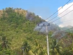 Api Lahap Lahan di Bukit Sukun, Titik Kebakaran Hanya 3 Kilometer dari Kantor Gubernur Sulbar