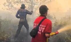 Tim Dalkarhutla Masih Berjibaku Padamkan Karhutla di Tumbang Nusa, Kabut Asap Ganggu Pengendara
