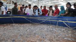 Zulhas Ultimatum SPPG MBG: Tak Serap Bahan Pangan Desa, Siap-Siap Ditutup
