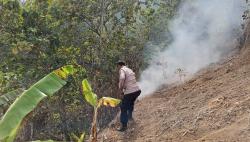 Kebakaran Hutan Perhutani Hebohkan Ajibarang, Warga dan Aparat Berjibaku Padamkan Api