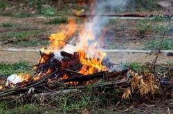 Nekat Bakar Sampah Sembarangan di Tangerang? Penjara 6 Bulan atau Denda Rp50 Juta Menanti