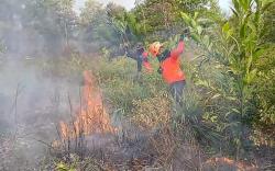 Karhutla di Palangka Raya Meningkat, 130 Kejadian Picu Kabut Asap yang Ganggu Aktivitas Warga